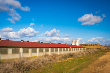Fototapeta na wymiar modern pig farms view from the road