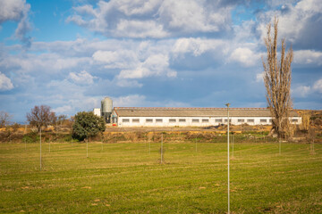 Fototapeta na wymiar pig farms with silos feedingfield with water irrigation