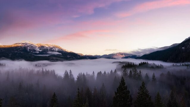 Green Trees in Forest with Fog and Mountains. Sunrise Sky Art Render. Canadian Nature Landscape Background. Near Squamish, British Columbia, Canada. Cinemagraph Continuous Loop Animation
