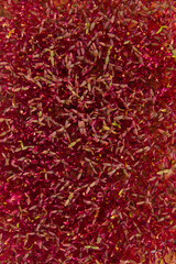 Naklejka premium Amaranth microgreens, natural background, close-up.