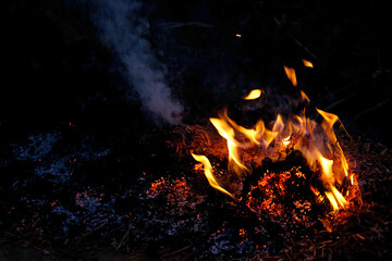 wildfire, rural fire, burning conflagration, burning ash, setting, charred dry grass in forest,...