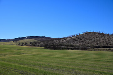 Top view of an Andalusian agricultural landscape at the end of winter with green fields of cereals and almond trees still bare