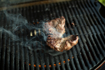 Meat cooked on stove. Food on brazier. Grilled roasted meat.