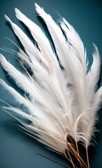Bird feathers quill wing obcject soft feather, colorful ULTRA HD