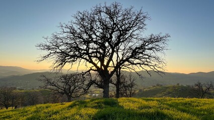 Fototapeta na wymiar Beautiful scenery in the hills of Central California 