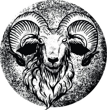 skets head goat vector illustration