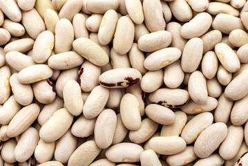 Background of white beans. Bunch of beans on white background