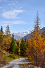 Autumn in the Austrian Alps. Village of Mittelberg in Kleinwalsertal in the Allgau Alps.