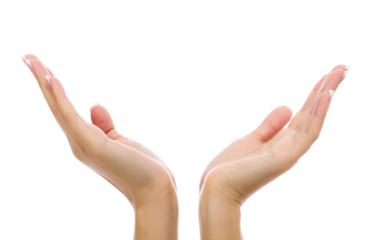 Female hands on white background