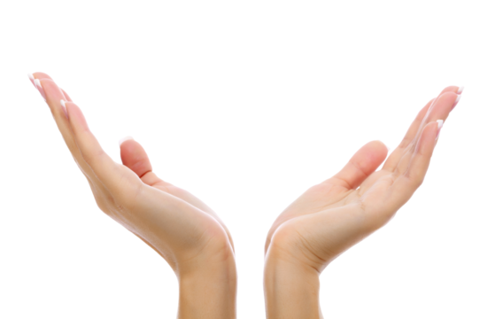 Female hands on white background
