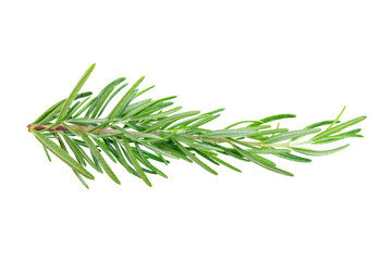 Rosemary