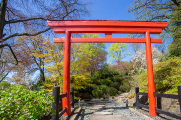 Fototapeta na wymiar Torii gate in red color and Japanese garden behind in Kaiserslautern