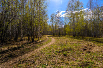 South Ural forest road with a unique landscape, vegetation and diversity of nature.