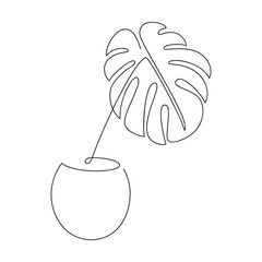 Botanical illustration. Line continuous monstera house plant in pot vector. Outline drawing. Hand drawn linear icon. Leaves silhouette. Minimal design, print, banner, card, wall art poster, logo. © Oksana