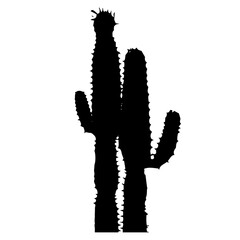 ICONES NORDESTINOS, NORDESTINO, NORDESTE, CEAR&Aacute;, ICONES DO NORDESTE, MANDACARU, CACTO, CACTOS, PLANTAS DA CAATINGA, PLANTAS NORDESTINAS