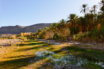 Marocco, oasi di Fint. Ouarzazate