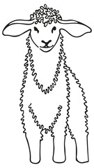 Cute outline sheep illustration single element, hand drawn witn fineliner. Black line design isolated on transparent background for the cattle logo.  Lamb emblem mascot concept for cattle icon.