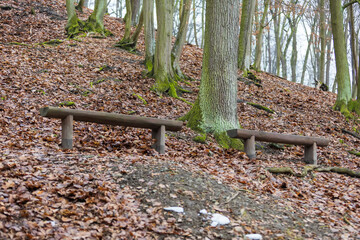 Winter forest landscape with remnants of white snow.