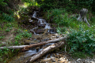 Creek flowing over rocks in forest