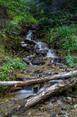 Cascading creek in forest flowing over rocks vertical photo