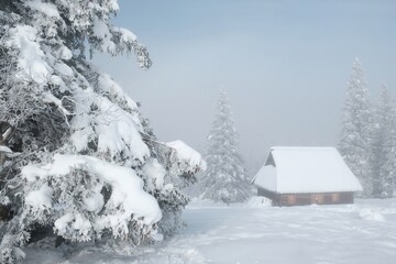 Amazing winter scenery of Tatra Mountains - Rusinowa Polana (Rusinowa Glade) with  shepherd's huts, Tatra National Park, Poland © Iwona