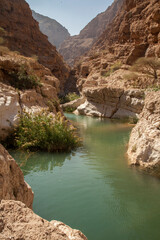 river in the canyon