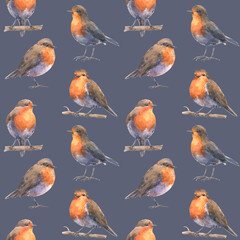Seamless pattern with european robin bids - 570422055