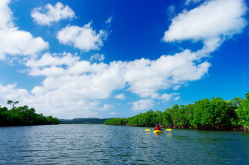 沖縄県西表島　西田川でカヤック