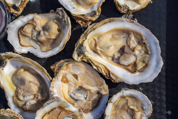 Oysters are being grilled on charcoal. Oysters are open in half shelf then can be served as raw. More options for grilled with cheese topping or flake cheddar. Eat with cocktail sauce and cracker. 