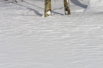冬の十和田湖 雪の道