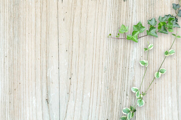 木目背景とグリーン