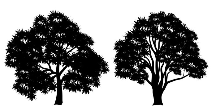 Vector set of tree silhouettes isolated on white background	