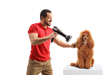 Male groomer blow drying a red poodle