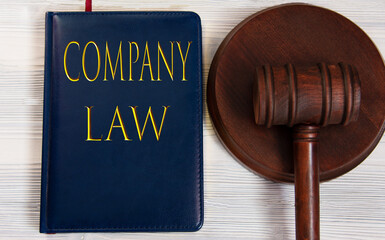 COMPANY LAW - words on a dark blue book on a light wooden background with a judge's hammer on the stand