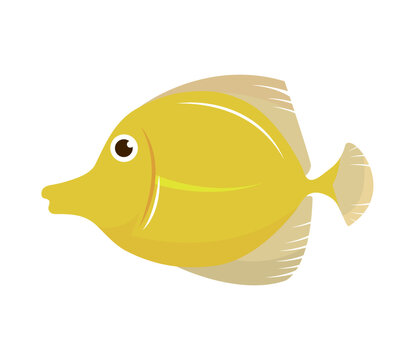 yellow fish icon