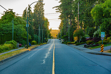 Sunset Road in the woods