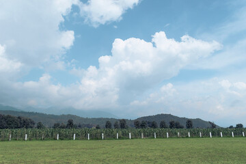 Paisaje verde, natural, cielo y nubes 