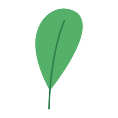 Green Leaf Vector Illustration