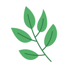 Green Leaf Vector Illustration