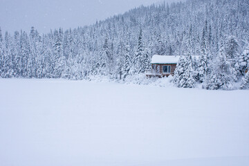 My cabin in Canada