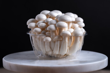 Shimeji mushroom. Fresh uncooked bunapi white shimeji edible mushrooms from Asia, rich in umami tasting compounds such as guanylic and glutamic acid