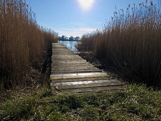 The Sturdy Boat Bridge Leading Out into a Serene Reed Field with a Glimpse of the Endless Blue Water on a Clear Blue Sky Day
