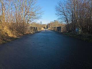 The Paved Pedestrian and Bike Path Heading Out onto a Tranquil Dedicated Bridge Framed by Tall Trees and a Clear Blue Sky