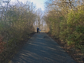 Obraz premium The Serene and Scenic Winding Journey Up the Hill with a Bicycle