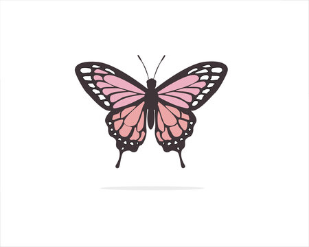 butterfly hand drawn design 