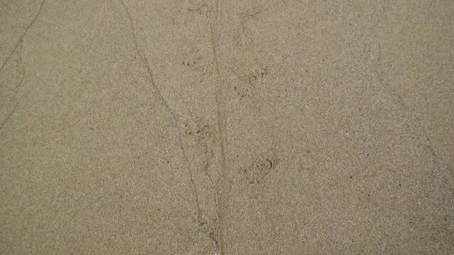 Hard Volcanic Sand In Galapagos. Volcanic Sand In Galapagos Also Provides Important Insights Into Geologic History Of Islands.