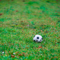 soccer ball on green grass