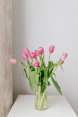 A bouquet of Pink tulips in a glass vase stands in a bright room. Background for Valentine's Day. Gift for Mother's Day or Women's Day. Spring background