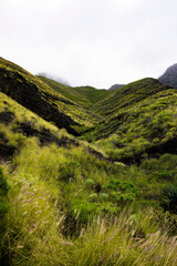Green Path to the Clouds: The Majestic Mountain