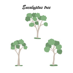 Eucalyptus tree icon set, flat style vector